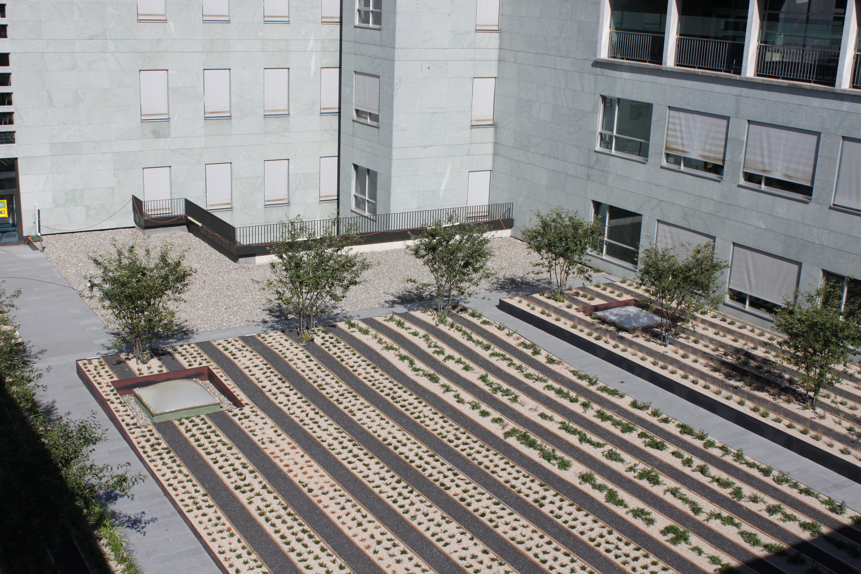 Jardins sur toiture CHUV